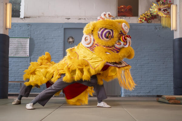 Kung Fu Leeuw in première